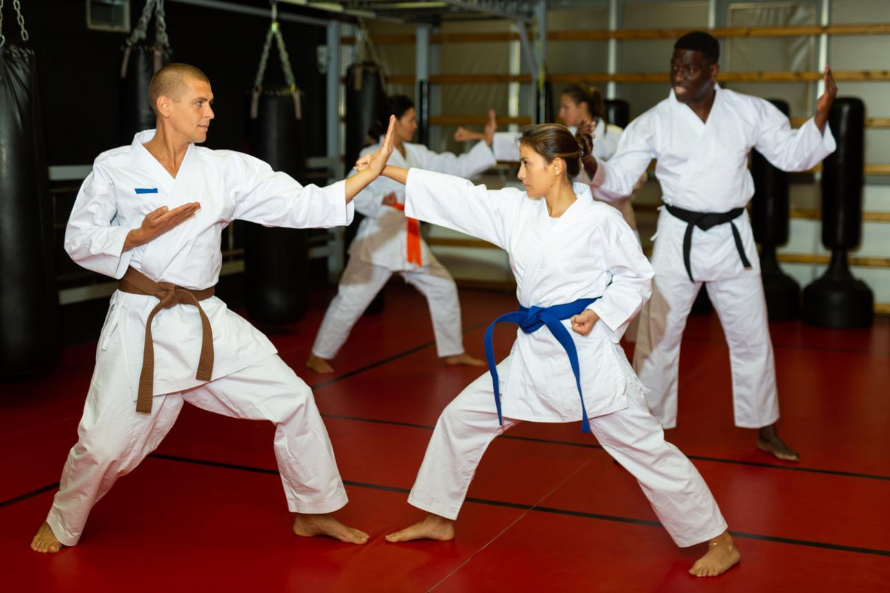 Karate Shindokai